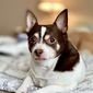 User picture for Matthew Norton