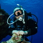 User picture for Robert Gebhardt