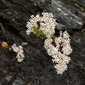 User picture for Øyvind Kirkevold