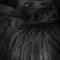 User picture for Jennifer Fielding-Lundquist