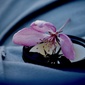 User picture for Joel Oudkerk