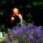 User picture for Jodi Rusk