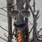 User picture for Tom Woodson