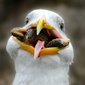 User picture for Steven Gunnerson