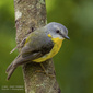 User picture for Gary Thomas