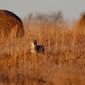 User picture for Walt Cochran