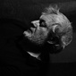 User picture for Vyacheslav Solovev