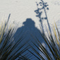 User picture for Nathan Foster