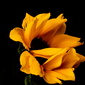 User picture for Todd Duclos