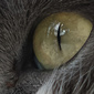 User picture for Ruud Broersma