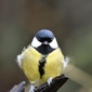 User picture for William Braithwaite
