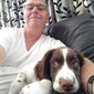 User picture for Stephen Woodcock