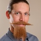 User picture for Brian Shaw