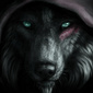 User picture for Elliot Myrick