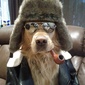 User picture for Doug Stead