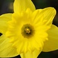 User picture for Lauren Galanty