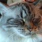 User picture for Steve Sprague