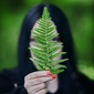 User picture for Laura Baratas