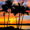 User picture for Gary Hammes