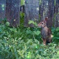 User picture for Patrick Danforth