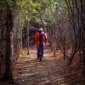 User picture for Vaughn Bender
