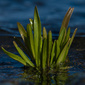 User picture for patrik persson