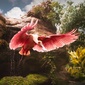 User picture for Sonnar Gauss
