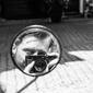 User picture for Patrick Dreuning