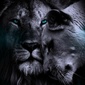 User picture for Melandi Smit