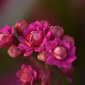 User picture for Ran Zilber