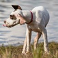 User picture for Birk Herrath