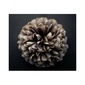 User picture for KRISTAN JACKSON