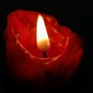 User picture for Gauri Kabbur