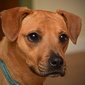 User picture for Matthew Palmerchuck