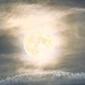 User picture for Steve Gandy