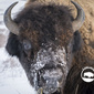 User picture for Robert Carroll