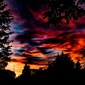 User picture for Marthin Uhrenholt