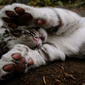 User picture for MAria Rodrigues