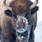 User picture for Mark Schou