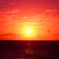 User picture for Joseph Puglisi