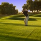 User picture for David VanGelder