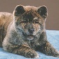 User picture for Brian Bivolcic