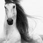 User picture for Noella Flaherty