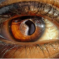 User picture for Dina Ezzat