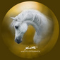 User picture for anette varjonen