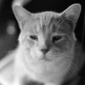 User picture for Jeremy Wilkinson