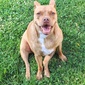 User picture for Rosa Renner