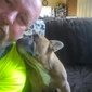 User picture for Bradley Gull