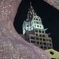 User picture for Shawn Zingali