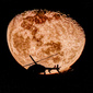 User picture for Barry Barbas